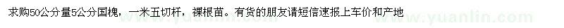 求購一米量5公分國槐5000棵