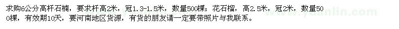 求購6公分高桿石楠,高2.5米花石榴