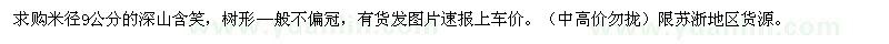 求購米徑9公分的深山含笑