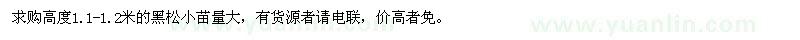 求購(gòu)高度1.1-1.2米的黑松小苗