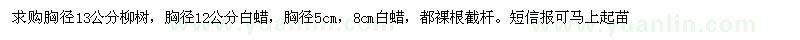 求購(gòu)柳樹(shù)白蠟