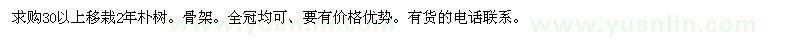 求購30以上移栽樸樹