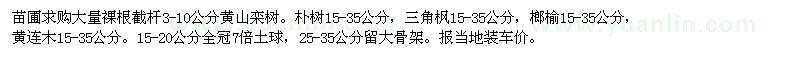 求購黃山欒樹、樸樹、三角楓、榔榆、黃連木