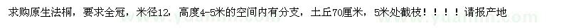 求購(gòu)原生法桐，要求全冠，米徑12