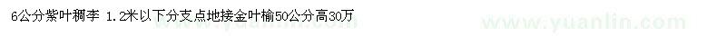 求購(gòu)6公分紫葉稠李 1.2米以下分支點(diǎn)地接金葉榆50公分高30萬(wàn)