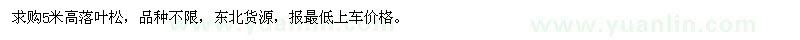 求購5米高落葉松