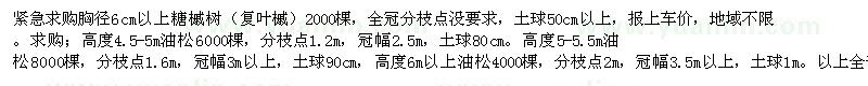 求購胸徑6cm以上糖槭樹