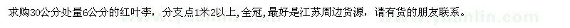 求購6公分的紅葉李 