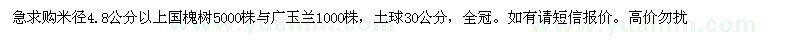 求購 國槐樹 廣玉蘭