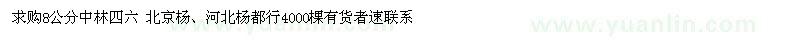 求購8公分中林四六 北京楊