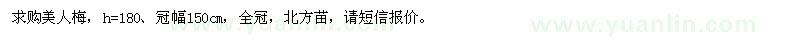 求購美人梅