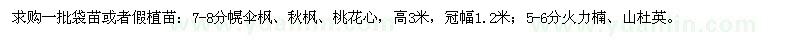 求購一批袋苗或者假植苗