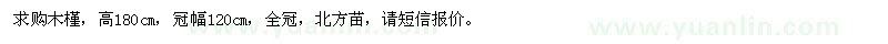 求購木槿