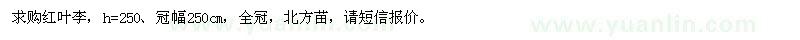 求購(gòu)紅葉李