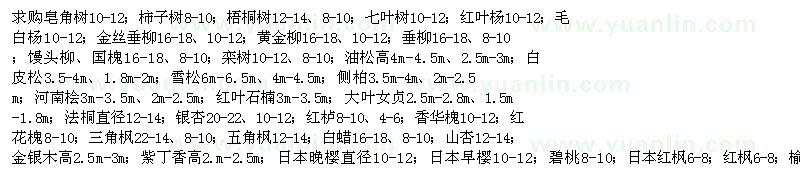 求購皂角、梧桐樹、柿子樹、七葉樹等苗木