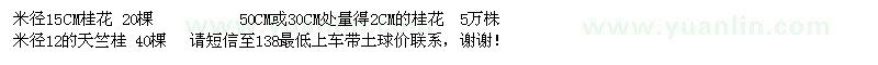 求購桂花，天竺桂