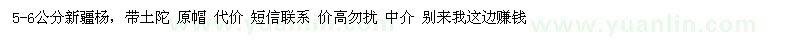 求購(gòu)5-6公分新疆楊