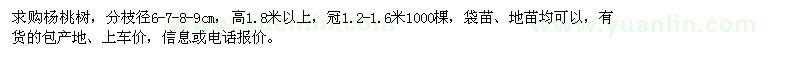 求購楊桃樹 1000棵