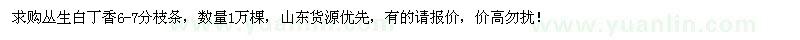 求購叢生白丁香6-7分枝條1萬棵