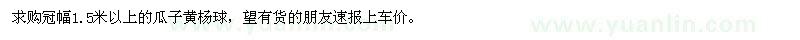 求購冠幅1.5米以上的瓜子黃楊球