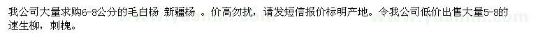 求購(gòu)6-8公分的新疆楊毛白楊