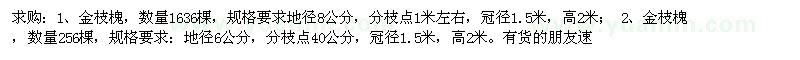 求購金枝槐