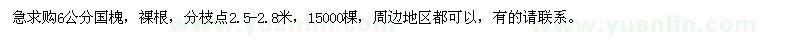 求購6公分國槐