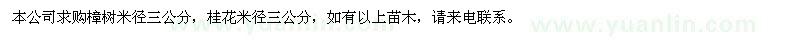 求購樟樹,桂花