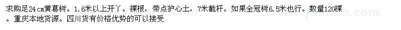 求購24cm黃葛樹。