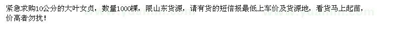 求購10公分大葉女貞1000棵