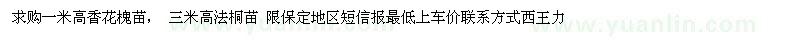 求購(gòu)一米高香花槐苗