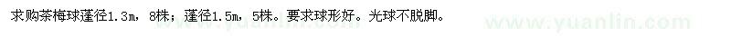 求購茶梅球