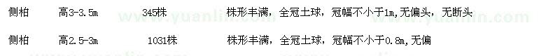 求購油松,側(cè)柏
