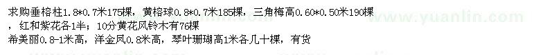 求購(gòu)垂榕柱,三角梅,黃花風(fēng)鈴木,希美麗,洋金鳳,琴葉珊瑚