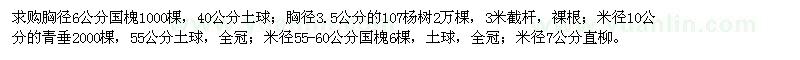 求購(gòu)國(guó)槐,107楊樹(shù),青垂,直柳,法桐