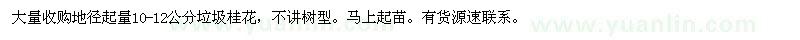 求購10-12公分垃圾桂花