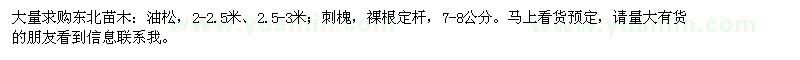 求購大量東北苗木油松