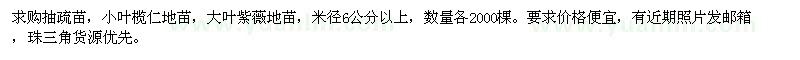 求購小葉欖仁地苗,大葉紫薇地苗