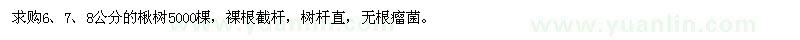 求購6,7,8公分的楸樹5000棵
