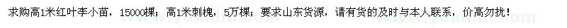 求購高1米紅葉李小苗、刺槐