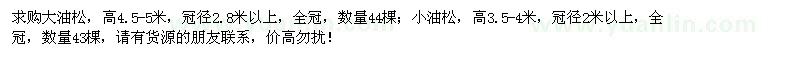 求購大油松、小油松