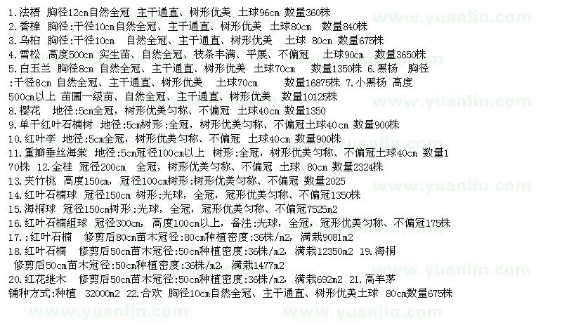 求購(gòu)法梧、香樟、烏桕、雪松、白玉蘭等苗木
