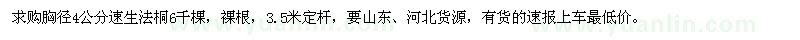 求購胸徑4公分速生法桐6千棵