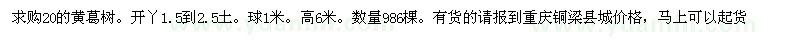求購20的黃葛樹