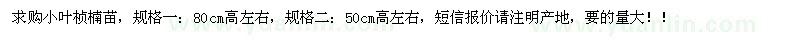 求購小葉楨楠苗