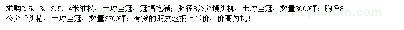 求購油松、饅頭柳、千頭椿