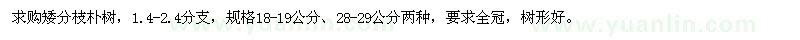 求購矮分枝樸樹