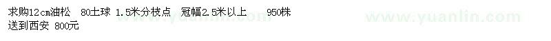 求購(gòu)油松