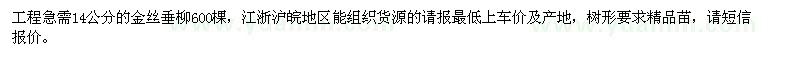 求購14公分的金絲垂柳600棵