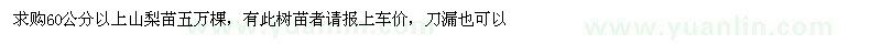 求購60公分以上山梨苗五萬棵